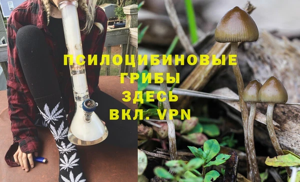 соль ск Белокуриха