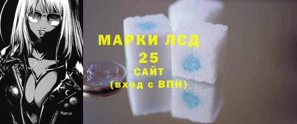соль ск Белокуриха