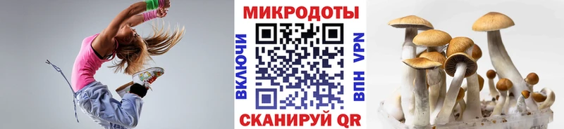 маркетплейс состав Бородино Галлюциногенные грибы мухоморы