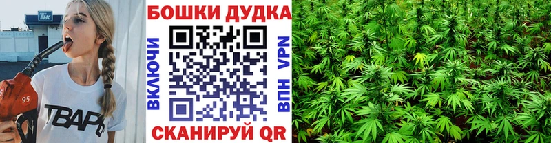 Марихуана White Widow  Бородино 